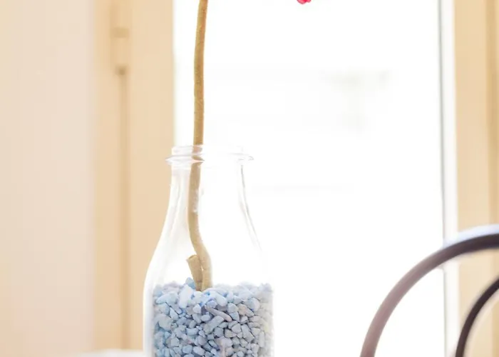 아파트호텔 Roxy 미사노아드리아티코